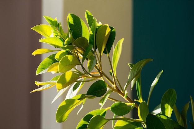 una planta con hojas verdes y un fondo azul