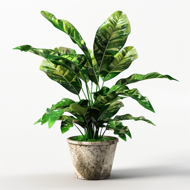 una planta con hojas verdes en una maceta blanca