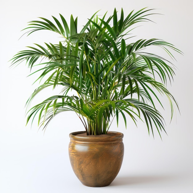 Foto una planta con hojas verdes en una olla blanca en el suelo