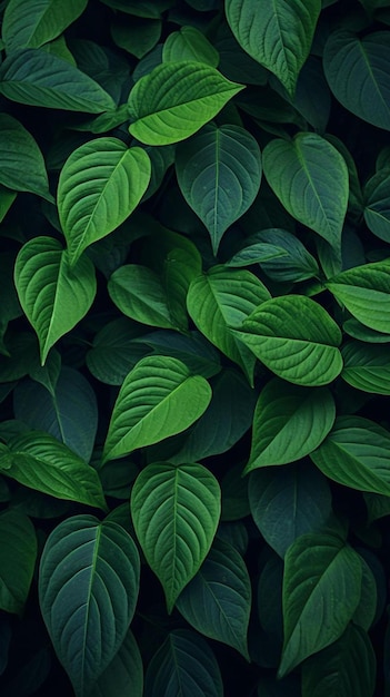 una planta con hojas verdes que es muy brillante y brillante