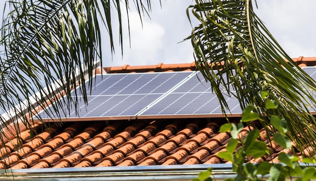 Planta de Instalación Fotovoltaica en una Casa con Hojas y Flores Alrededor al Atardecer