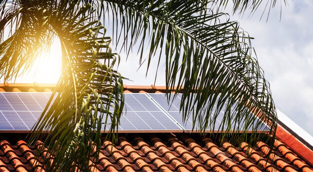 Planta de Instalación Fotovoltaica en una Casa con Hojas y Flores Alrededor al Atardecer