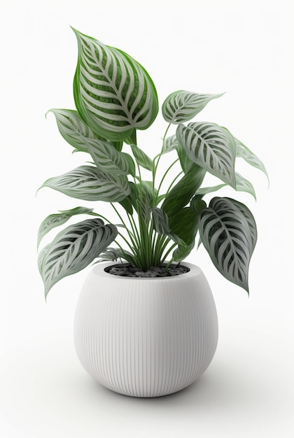 Planta de interior en maceta aislado fondo blanco diseño de interiores concepto botánico IA generativa