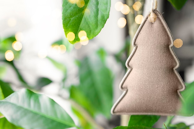 Planta de interior en una maceta decorada para Navidad y Año Nuevo cero desperdicio y concepto de sostenibilidad