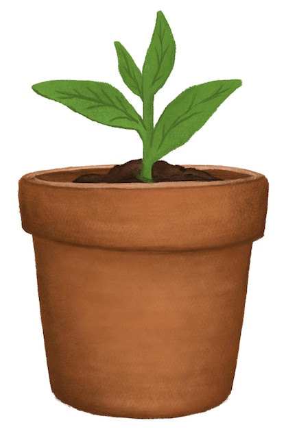 Planta de interior en maceta png ilustración botánica de fondo transparente