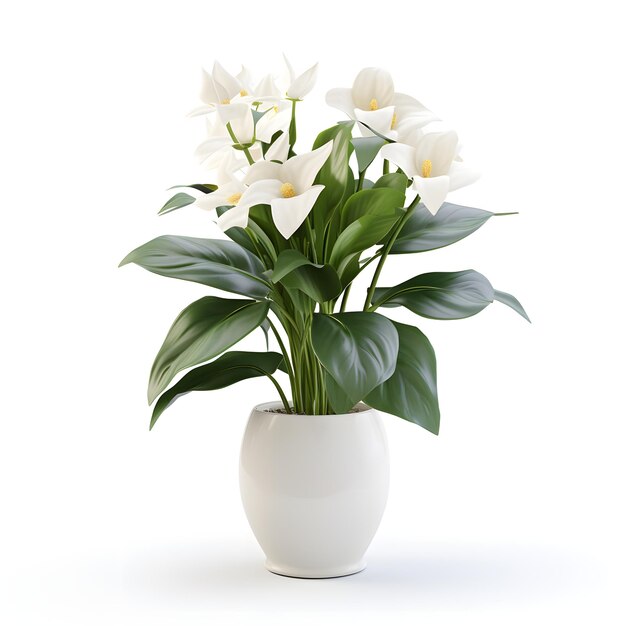 Foto planta de interior en una olla blanca aislada sobre un fondo blanco