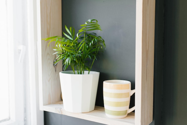 Una planta de interior en una olla blanca y una taza están en un estante de la cocina