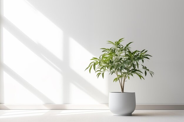 Planta de interior en una olla cerca de la ventana sobre el fondo blanco Espacio para texto IA generativa