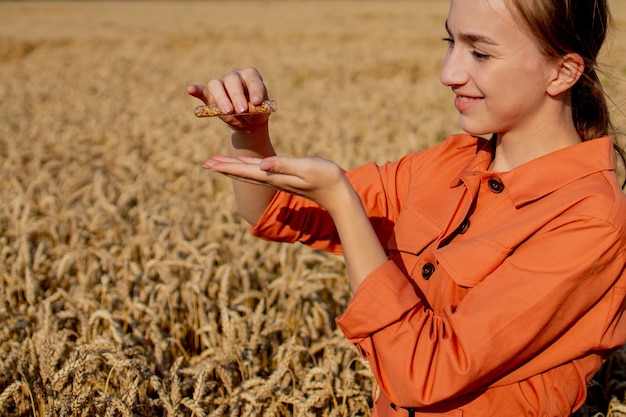 Planta de investigación del agricultor en campo de trigo. En su mano sostiene un tubo de vidrio que contiene la sustancia de prueba con tableta digital. Agricultura inteligente utilizando tecnologías modernas en agricultura y concepto científico.