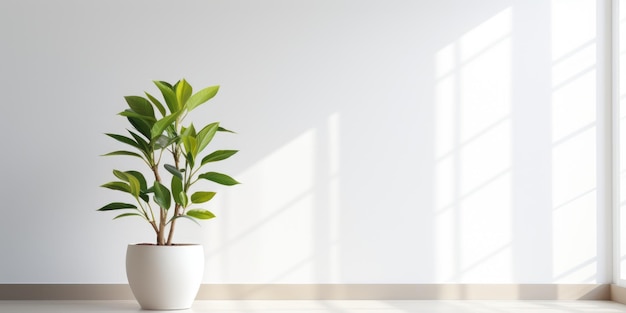 Una planta en un jarrón blanco en un suelo blanco Imagen de IA generativa