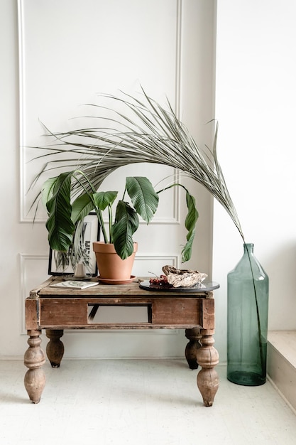 Planta y jarrón contra la pared en casa