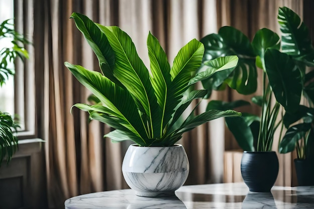 una planta en un jarrón con una gran hoja verde