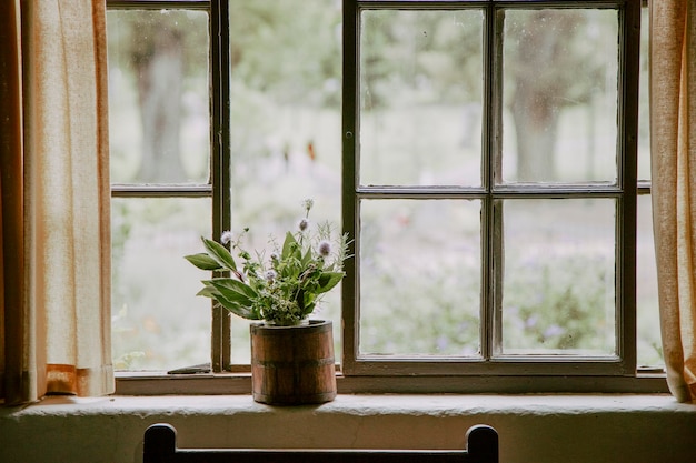 Planta en maceta en el alféizar de la ventana