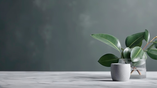 Una planta en una maceta blanca sobre una mesa