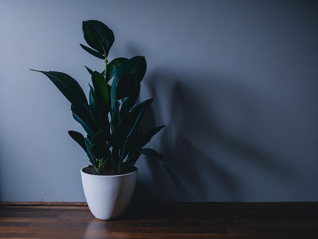 Foto una planta en una maceta blanca sobre un suelo de madera.