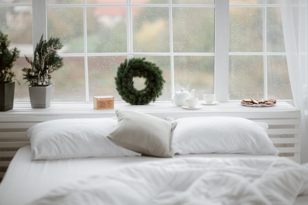 Planta en maceta en la cama junto a la ventana de la casa