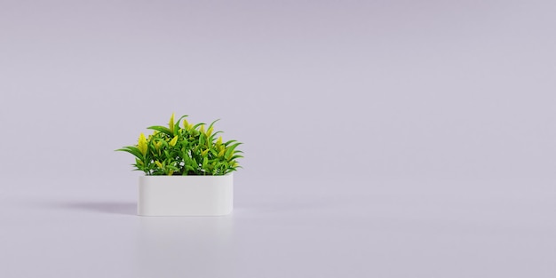 Planta En Maceta Y Fondo Blanco 3d Render