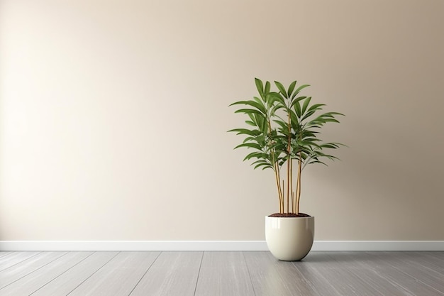 Una planta en maceta en una habitación con una pared en blanco