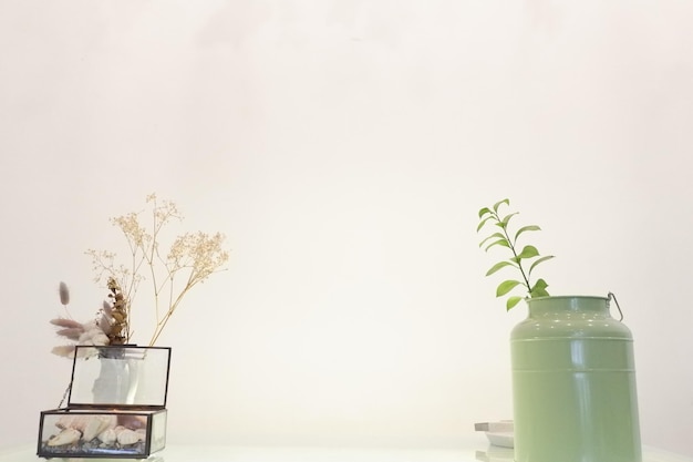 Planta en maceta en la mesa contra la pared