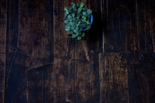 Planta en maceta en una mesa de madera