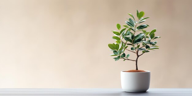 Una planta en maceta sentada en la parte superior de una mesa blanca