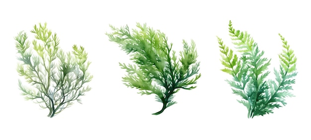 Planta milfoil aquarela gerada por ai remédio natural flor de erva medicinal planta selvagem milfoil ilustração em aquarela