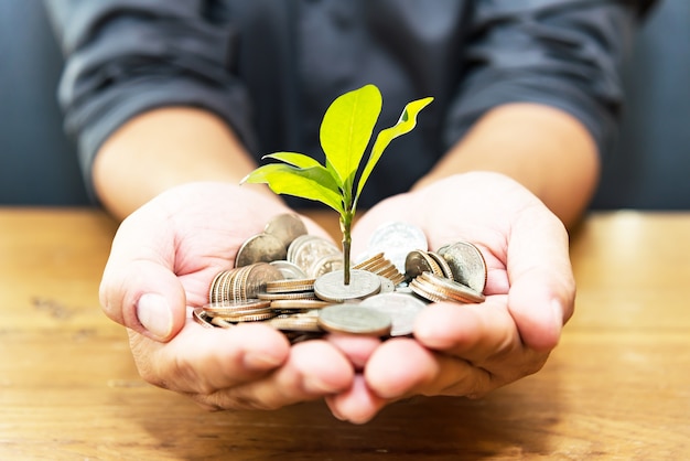 Planta una moneda y planta un árbol verde sobre un fondo de madera vieja. Concepto de inversión