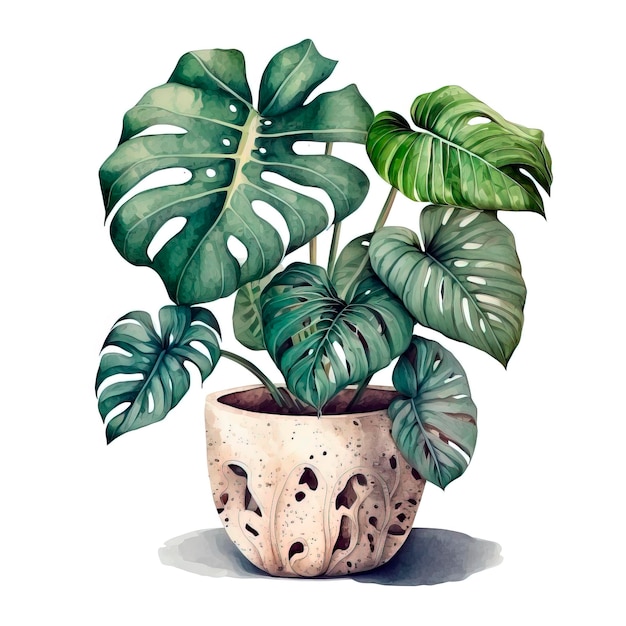 Planta Monstera em pote Ilustração vetorial desenhada à mão em fundo branco IA generativa