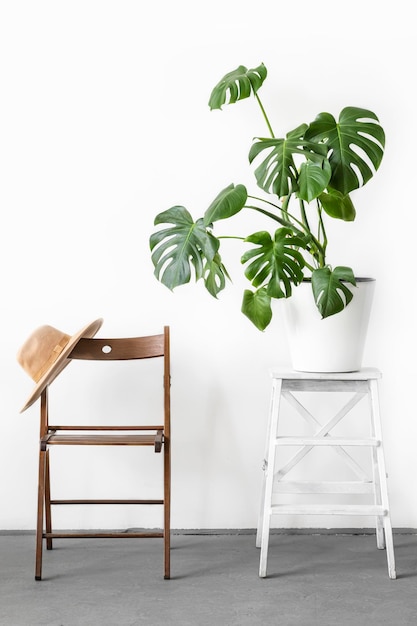 Planta de Monstera en una olla de flores blanca de pie en un soporte de madera y sombrero de color camello en una silla de madera