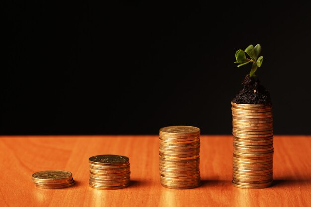 Foto planta y muchas monedas de oro sobre negro