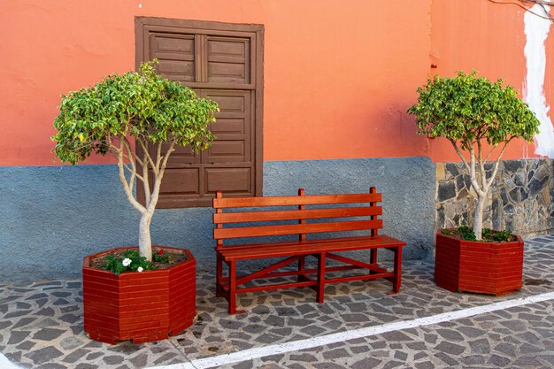 Foto planta en olla en la mesa contra la pared de la casa