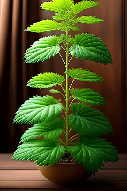 Una planta con una planta dentro que está sobre una mesa.