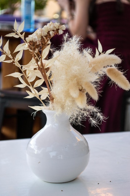 Planta de plumas de hierba en maceta en un jarrón sobre una mesa