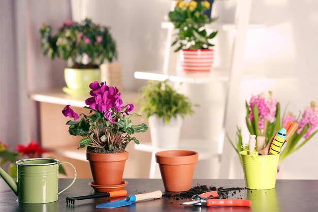 Planta de primavera fresca con equipo de jardinero en la mesa