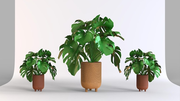 Foto planta psd en maceta en renderizado 3d