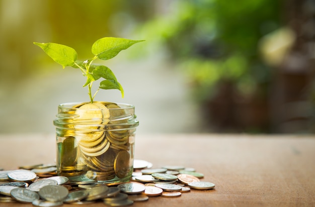 Planta que crece en monedas de ahorro con fondo verde Bokeh