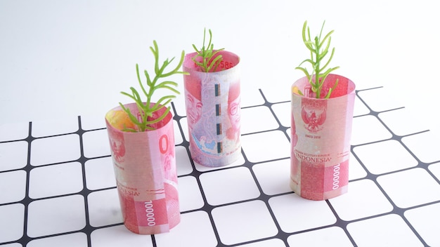 Planta que crece en papel moneda de ahorro concepto de inversión e interés