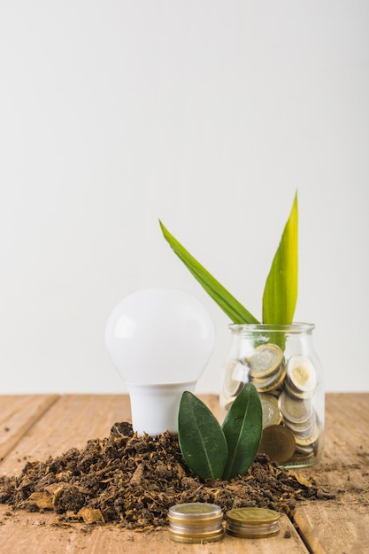 Planta que crece del tarro con las monedas