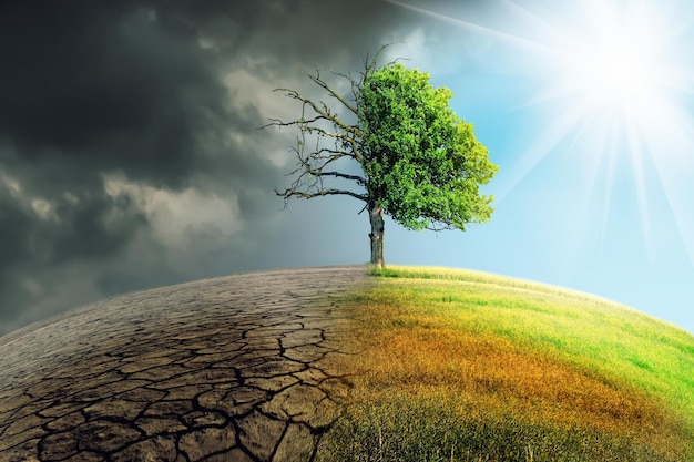 Planta que crece en la tierra contra el cielo