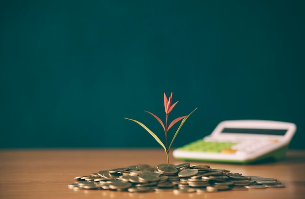 Foto planta que cresce em moedas das economias - dinheiro, financeiro, conceito do crescimento do negócio.