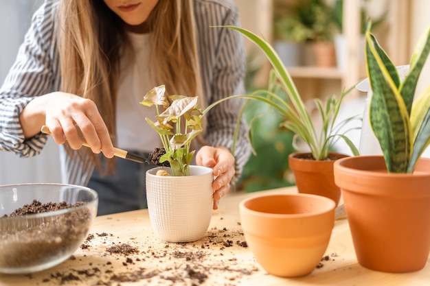 Planta de riego de jardineros de mujer