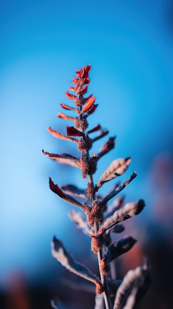 Una planta roja con un fondo azul.