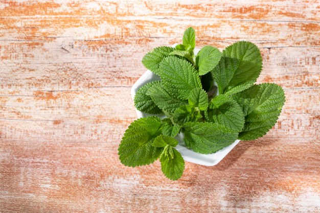 Planta de salvia morada sobre la mesa