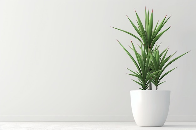 La planta de Sansevieria en una olla de flores moderna se encuentra en una mesa gris sobre un fondo blanco Planta de casa Sansevierea trifa Concepto de jardinería de casa Foco selectivo