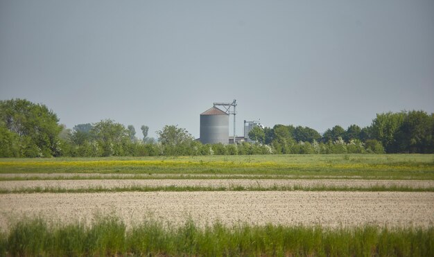 Planta de secado de cereales inmersa en un paisaje rural donde se cultivan los cereales.