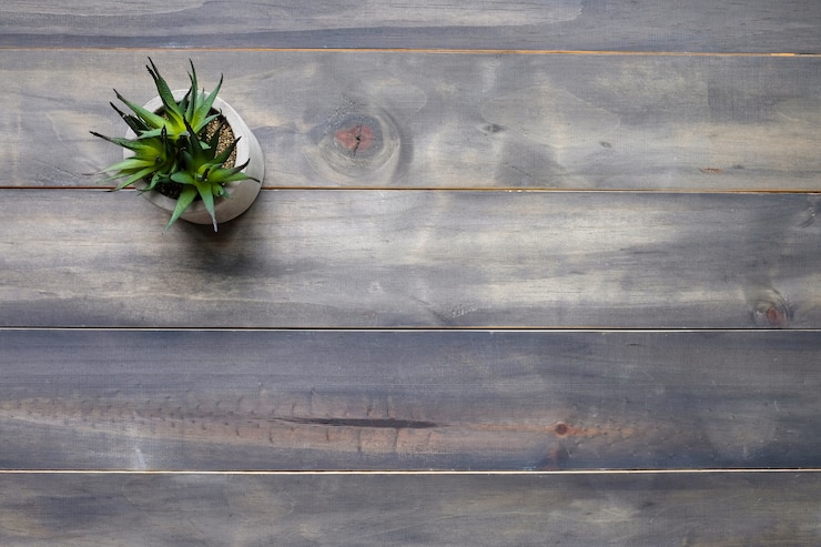 Foto planta suculenta en el fondo de madera vintage gris