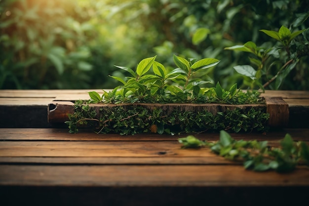 Planta de té de fondo de mesa de madera