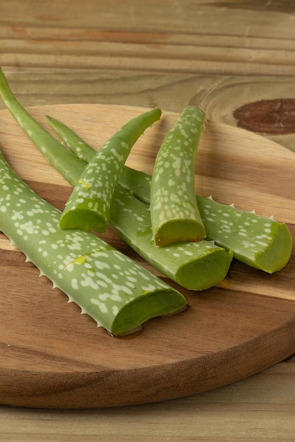 Planta tradicional de aloe vera na tábua