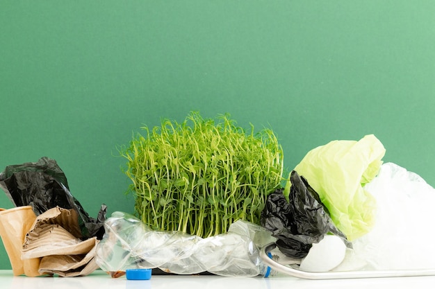 La planta verde crece entre botellas y bolsas de basura de plástico sobre fondo verde