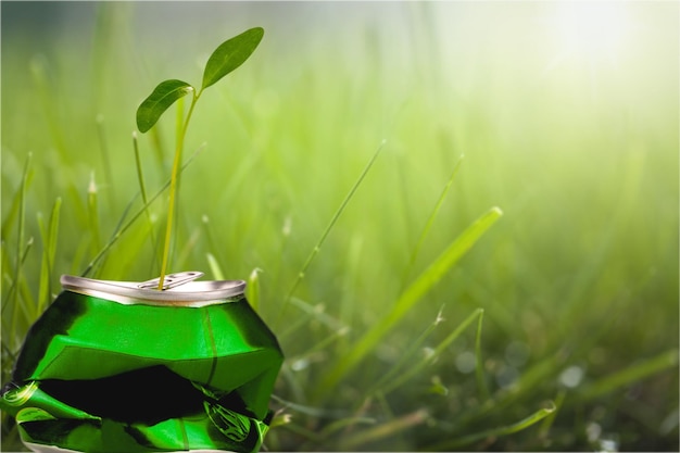 Planta verde de lata de lixo, símbolo de reciclagem